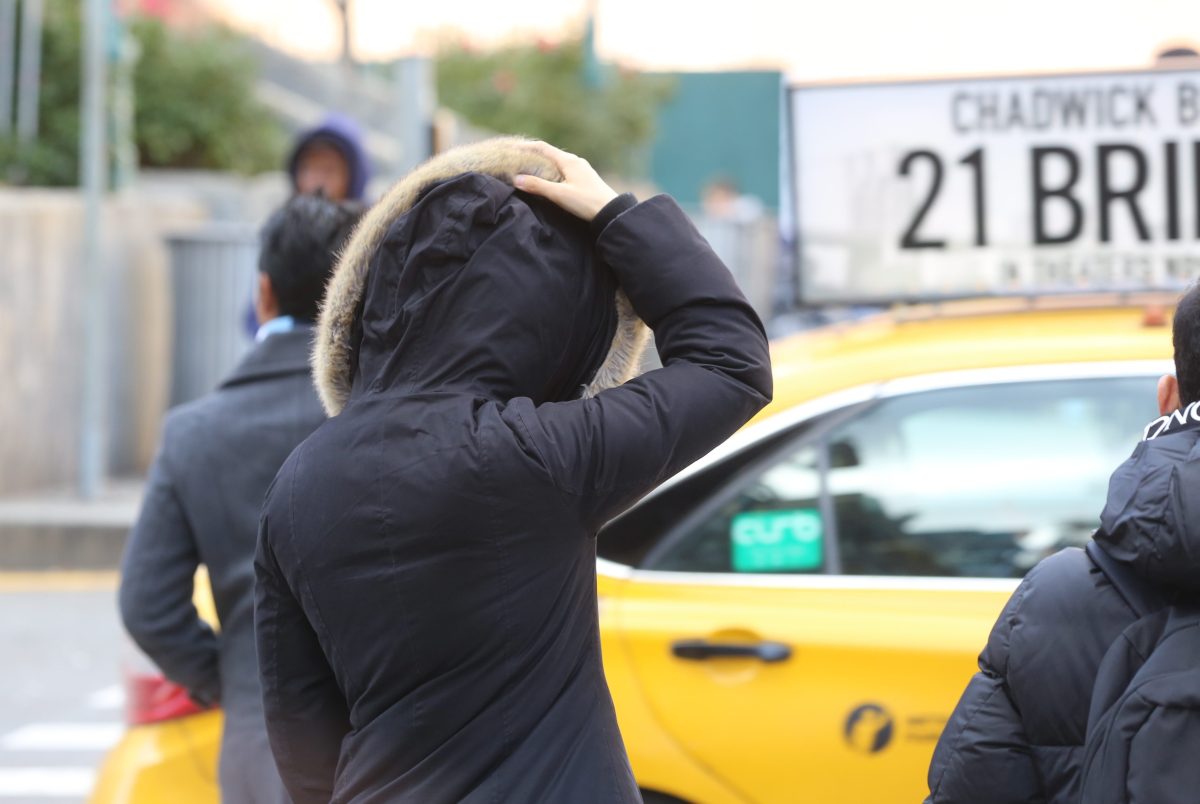 Frío extremo en Nueva York: alerta de clima para los próximos días