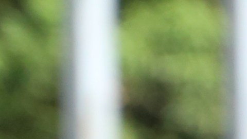 Elsa Morocho fue arrestada por vender churros en el Subway. Vendedores de churros exigen respeto.