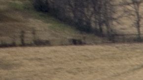 Dos aviones C-130 Hercules de la Fuerza Aérea.