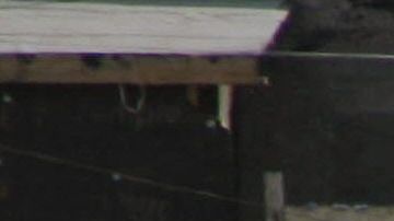 Unas 14 mil personas han huido del Valle de Juárez.