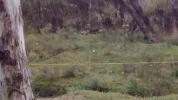 Violencia en México. /EFE