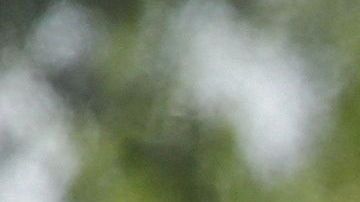 Familias migrantes procesadas en la Estación Central de Autobuses en McAllen, Texas, 2018.