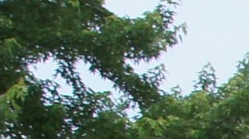 Chevrolet Suburban de 1961