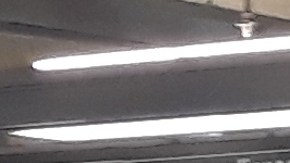 El Metro de NYC, “la isla del Dr. Moreau”