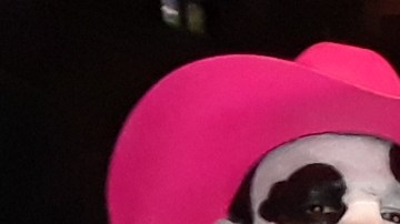 Foto: Andrés Correa Guatarasma