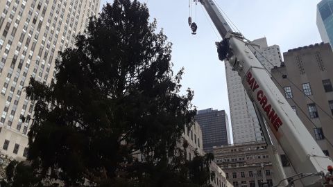 El árbol de Navidad más famoso del mundo