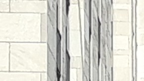 El árbol pesa unas 12  toneladas. 