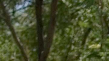 Los agentes federales cortaron el paso a Alfredo Chumux.