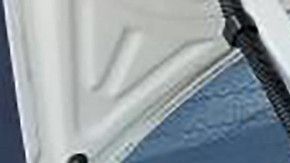 Un caso de indocumentados en  cajuela registrado en Arizona en 2018.