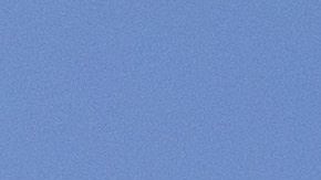 Traficantes siguen haciendo de las suyas para atravesar el muro.