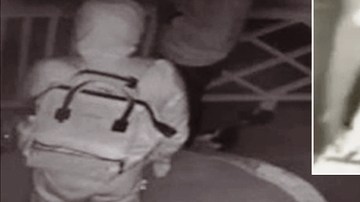 Imágenes de los ladrones