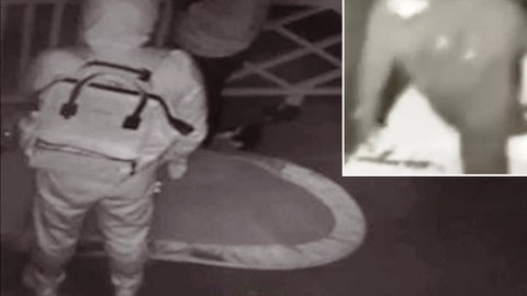 Imágenes de los ladrones