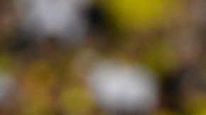 El colombiano James Rodríguez festeja su golazo ante EE.UU. (Foto: EFE/Gerardo Mora)