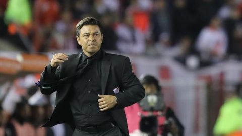 Marcelo gallardo, técnico del River Plate, infringió el reglamento de la Conmebol