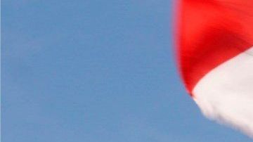 Los artistas  Bad Bunny (i-arriba); Residente (c-abajo); Dj Sinsuela (c-arriba); Ile (d-arriba) y Ricky Martin (d) en la protesta.