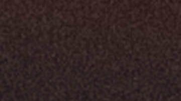 Morales renunció para evitar una escalada de violencia en su país.