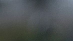 Laura Cooper declaró haber advertido a la casa Blanca los riesgos de la retirada de ayuda militar a Ucrania.