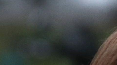 Laura Cooper declaró haber advertido a la casa Blanca los riesgos de la retirada de ayuda militar a Ucrania.