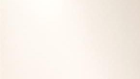 El representante en México de la oficina del Alto Comisionado de la ONU-DH Jan Jarab (d) y la representante del Centro Prodh, Stephanie Erin Brewer (2-d),