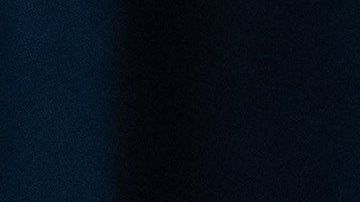 Los republicanos violaban deliberadamente las normas del proceso.