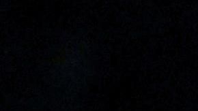 Shakira antes de la final de la Copa Davis