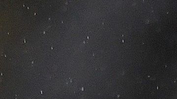 Raúl Jiménez lleva 15 goles en todas las competiciones.