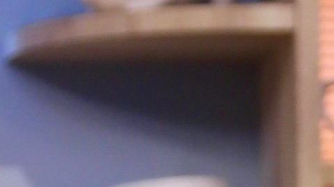 Ana Patricia Gámez.