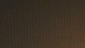 Dayana Garroz.