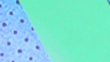 Karol G ahoga sus penas en alcohol, rodeada de hombres y exponiendo su figura en bikini.