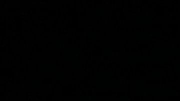 action-auto-automotive-258083 (1)