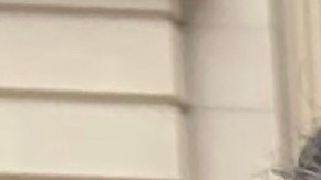 Taxistas livery exigen soluciones a crisis de su gremio y respeto por parte de TLC