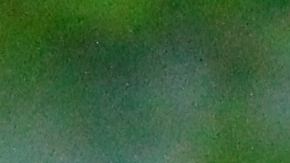 La contaminación afecta ensaladas empacadas.