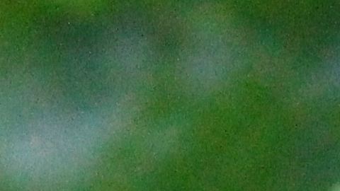 La contaminación afecta ensaladas empacadas.