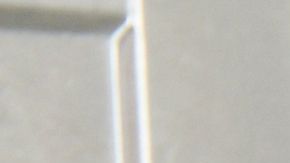 Cuida tu salud y la de la familia con estos extraordinarios tips para evitar intoxicaciones alimentarias.