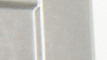 Cuida tu salud y la de la familia con estos extraordinarios tips para evitar intoxicaciones alimentarias.