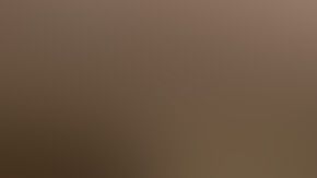 Andy Ruiz envió felicitación a 'Canelo' Álvarez.