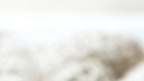 Las bebidas naturales ricas en antioxidantes, como el jugo de limón. arándanos, té verde y el vinagre de manzana son grandes aliados para mejorar el funcionamiento renal en diabéticos.