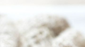 Las bebidas naturales ricas en antioxidantes, como el jugo de limón. arándanos, té verde y el vinagre de manzana son grandes aliados para mejorar el funcionamiento renal en diabéticos.