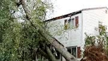 Fue una noche de terror literal en NY