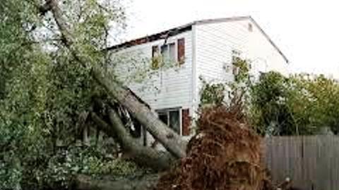 Fue una noche de terror literal en NY