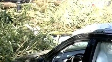 Sumergido en la piscina casera