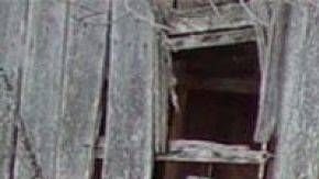 Ford Mustang Shelby GT500 1968