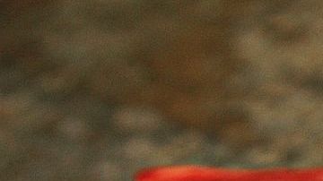 Crédito: Reinhard Thrainer/Pixabay