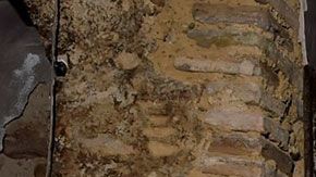 Las autoridades te darán un plazo de cuatro años para que hagas todas las renovaciones necesarias.