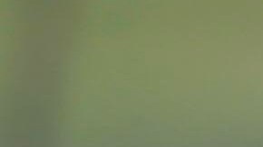 Photo © 2019 Backgrid Australia/The Grosby Group
Spain: Lagencia Grosby

EXCLUSIVE

Gold Coast, AUSTRALIA, 26 Nov, 2019.

Pamela Anderson poses in swimsuit for a photoshoot on the Gold Coast