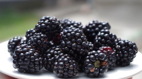 Las moras son ricas en antocianinas que pueden tener efectos neuroprotectores.
