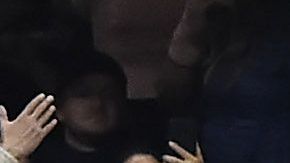 Los aficionados del América, frecuentemente tienen encontronazos entre ellos.