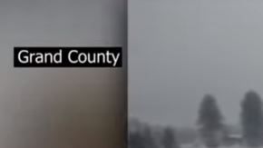 El caballo fue identificado como "Trigger".