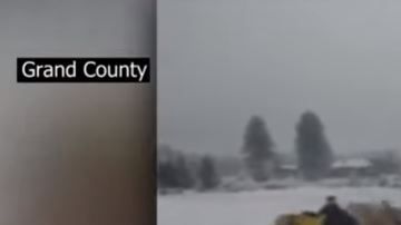 El caballo fue identificado como "Trigger".