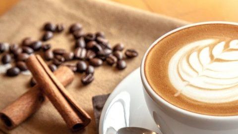 Preparar una buena taza de café es toda una tradición, disfruta el proceso y relájate.